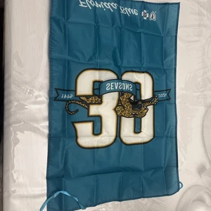 Bandera de Jacksonville Jaguars - Imagen 1 de 4