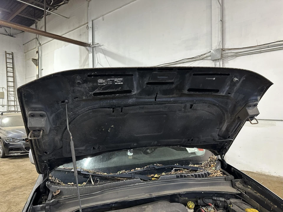 Used Hood fits: 2015 Jeep Renegade  Grade A Foto 1 de 4