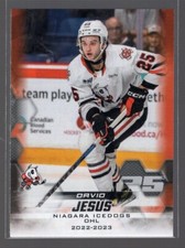 2022/23 Niagara IceDogs - DAVID JESUS