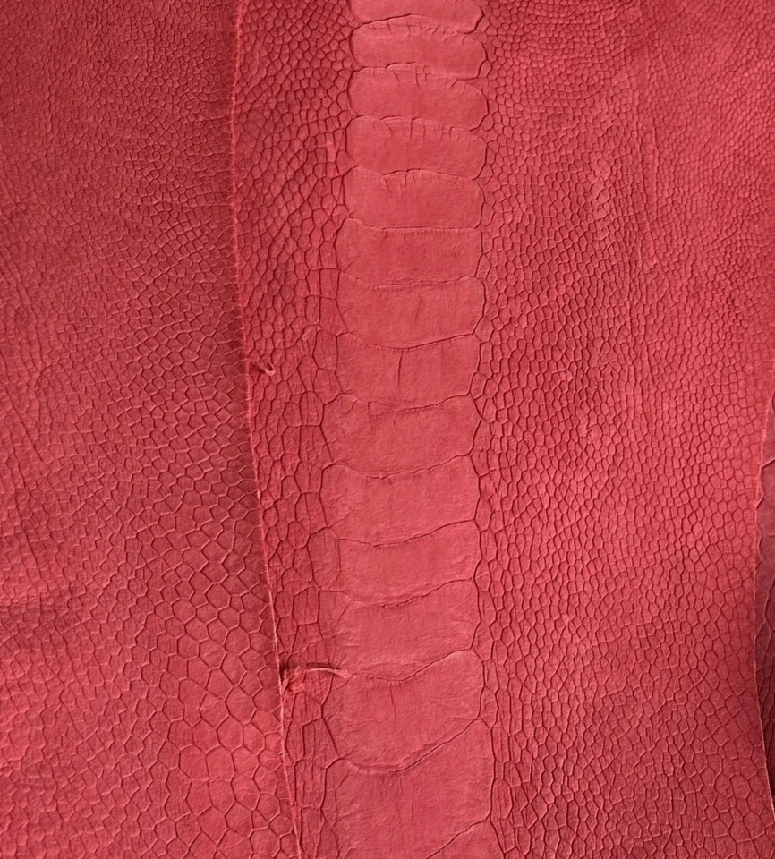 Piernas de avestruz piel cuero llama color rojo sin terminar Foto 1 de 1