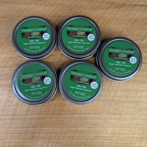 Menge 5 Yankee Candle Gel Dosen Duft Balsam & Zeder je 1oz NEU - Bild 1 von 3