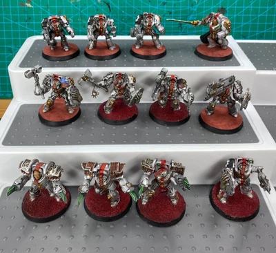Warhammer 40k Marines Espaciales Manos de Hierro 12x Terminators - Pintado Profesional 30k Foto 1 de 4