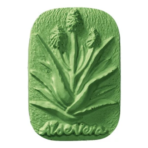 Aloe Vera Soap Mold by Milky Way Molds - MW294 - Picture 1 of 1