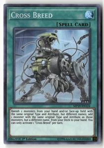 #MP19-EN124 - Cross Breed - WB1SR - Picture 1 of 2