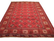 Authentic  Wool RNR-6846 6' 9" x 10' 1" Persian Turkmen Rug