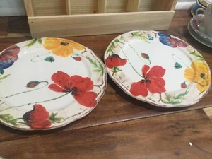 Sur La Table italienische Mohnbürstenstrich gerippte Felgenplatten 8,5"D Menge(en) von zwei - Bild 1 von 11