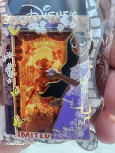 DSSH DSF Isabella Isabela Encanto Casita Door Doors Pin LE 400  - Picture 1 of 1