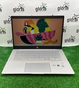 Laptop HP Pro c640 Chromebook Intel i5-10310U 1.70 / 8GB RAM / 64GB SSD ChromeOS - Imagen 1 de 17