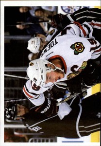 2013-14 (HKY) Panini Stickers #19 Western Conference/Action Puzzle