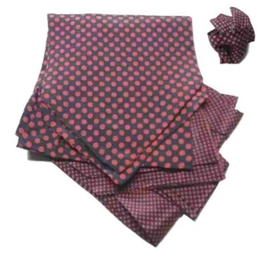 Ensemble Assorti Homme Ascot Soie Bleu Et Mouchoir De Veste à Pois Rouge Divers - Imagen 1 de 6