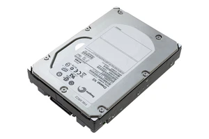 Hard drive Seagate Cheetah NS 300GB 10K FC 4G 3.5" 512e 16MB ST3300955FC - Afbeelding 1 van 2
