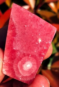 169CT Gemmy!!! Muestra de cristal de rodocrosita roja transparente natural ie3590 - Imagen 1 de 15