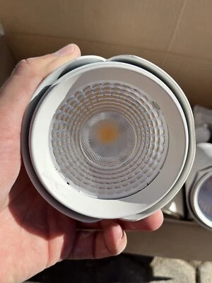 Faretto LED A Binario  Bianco 30 W Luce Naturale 220V - Immagine 1 di 4