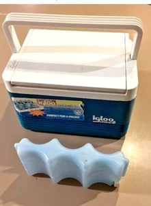 Eisbeutel & Iglu Polar Six türkis Eistruhe isoliert Kühlbox USA Brotdose 6 Dosen - Bild 1 von 13