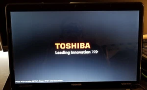 TOSHIBA SATELLITE P775-S7215 LAPTOP LED LCD Screen Assembly 17.3" - Picture 1 of 5