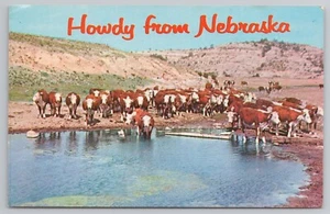 Postal Howdy From Nebraska Prime Beef Cows at a Watering Hole - Imagen 1 de 2