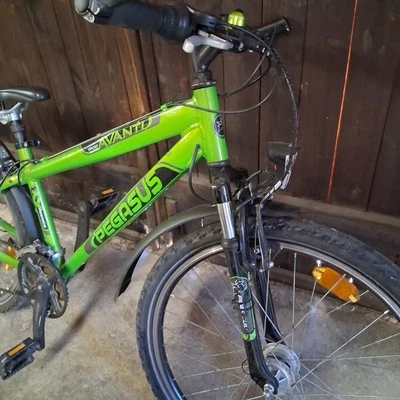 Pegasus Fahrrad Dunkel Grün Aluminium Rahmen 26 Zoll Reifen - Bild 1 von 4