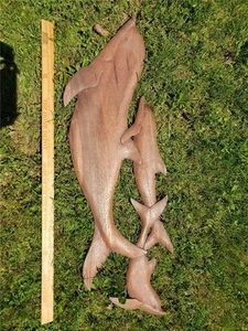 Delfino legno intagliato a mano decorazione parete 40" focene Bali tropicale nautica costiera - Foto 1 di 11
