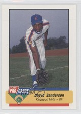 1994 Fleer ProCards Minor League David Sanderson #3838.1