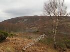 Photo 12X8 Loch Ceo Glais Torness/Nh5827 Varied Vegetation On The Lower S C2008