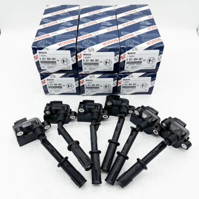 Bobina de encendido 6 piezas para 0221604034 Bosch Mercedes CLS350 E350 ML350 R350 3,5 L nueva Foto 1 de 4