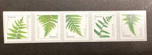 U.S. Forever Stamps #4874-4878 Ferns Coil Strip Of Five Stamps 2014 Mint NH - Picture 1 of 4