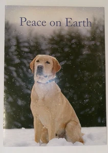 Führaugen für Blinde Blindenführhund Weihnachten Grußkarte Urlaub FRIEDEN - Bild 1 von 4