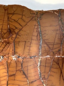 Spiderweb Jasper Slab Specimen Lapidary Cabbing 82mm x 86mm; 3.1 oz - Picture 1 of 17