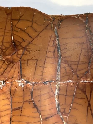 Spiderweb Jasper Slab Specimen Lapidary Cabbing 82mm x 86mm; 3.1 oz - Image 1 of 4