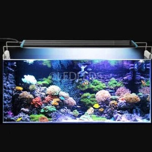LAMPADA PLAFONIERA 30CM 42 LED 30-40CM ACQUARIO LUCE BIANCA BLU PESCI PIANTE - Foto 1 di 6