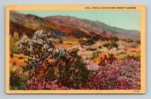 Postcard 673 Cholla Cactus and Desert Flowers California Linen - Picture 1 of 2