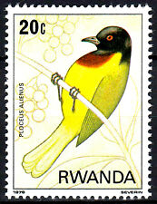 Ruanda postfrisch MNH Tier Vogel Meisenweber Webervogel Ammerweber Wildtier / 12