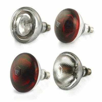 Infrarotbirne Rotlichtlampe Infrarotlampe Wärmelampe Heizlampe - 240V - Bild 1 von 4