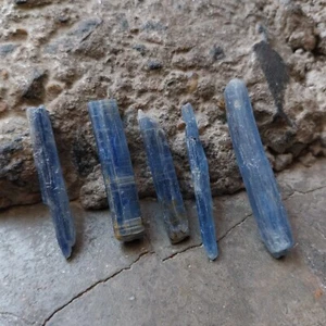 68 Ct 31 to 42 MM Natural Blue Color Kyanite Raw Rough Pencil Shape 5 Piece Lot - Picture 1 of 24