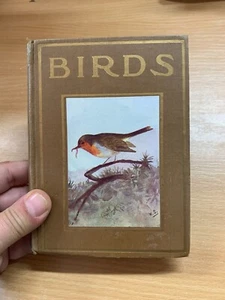 Livre Illustré Dur Petit 'OISEAUX' M K C SCOTT Des Années 1940 (P3) - Imagen 1 de 17