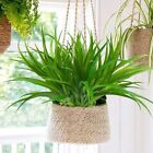 Green Spring Grass 14 Leaves Fake Plants Artificial Plants  Photography Props
