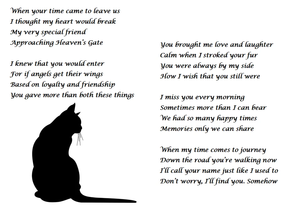 Cat Sympathy Card In Memory Of Pet Loss Condolences - Image 1 of 3