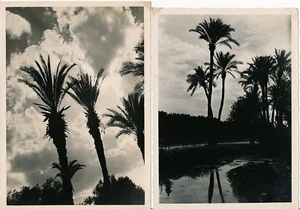 MAROKKO ca. 1930 - Konvolut 12 Fotos Paris - Foto Casa - MAR 107 - Bild 1 von 7