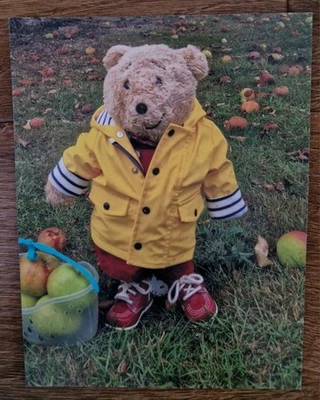 Horace the Alresford Bear Fridge Magnet (apples) - Image 1 of 2