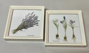 Marjolein Bastin Framed Lavender and Crocus Bulbs Set of 2 Prints 6” x 6” Art - Picture 1 of 15