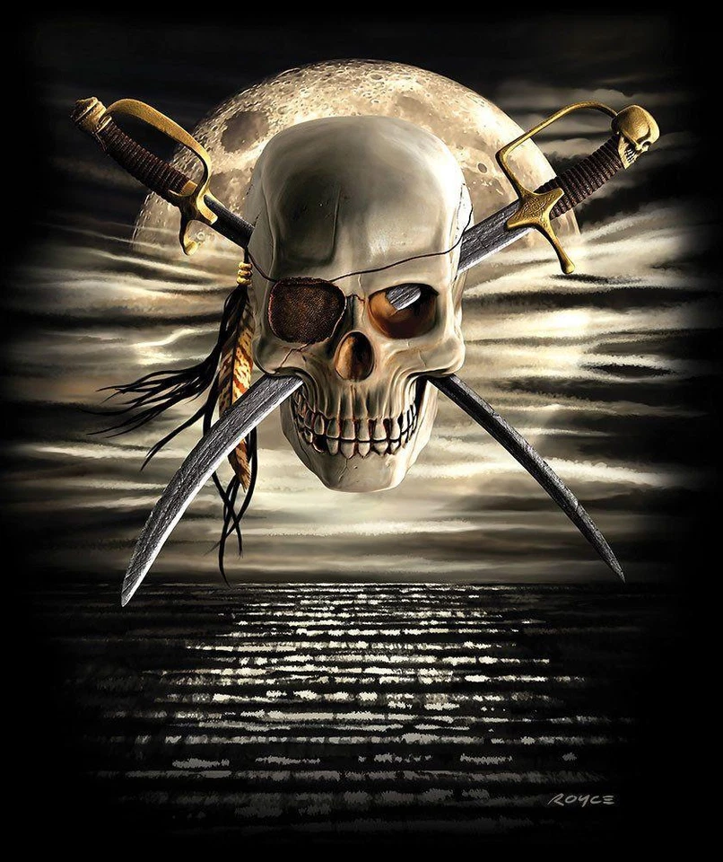 Jolly Roger Pirate Skull Crossbones Sword Queen Size Blanket Bedspread