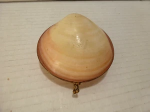 Vintage Genuine Clam Shell Coin Purse Pill Box Trinket Box Brass Trim Edges - Picture 1 of 7