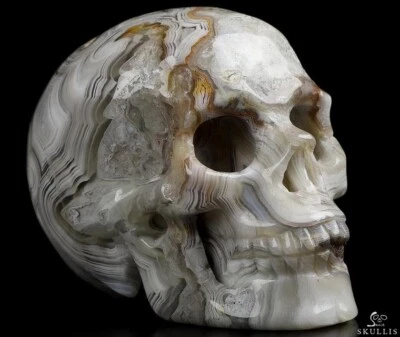 Calavera de cristal tallada de ágata de encaje loco rojo de 2,0", realista, cristal curativo Foto 1 de 4