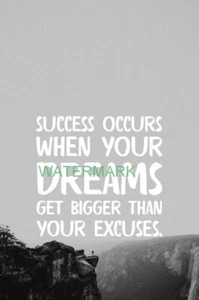 SUCCESS COMES WHEN YOUR DREAMS INSPIRATIONAL PUBLICITY PHOTO - Picture 1 of 6