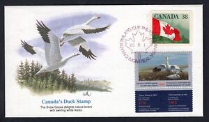 CANADA 1989 Timbre canard / oie des neiges conservation.  Poutre cachet