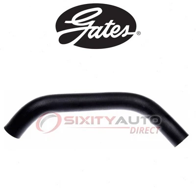 Gates Lower Radiator Coolant Hose for 1994-1997 Chrysler LHS 3.5L V6 - ur Foto 1 de 4