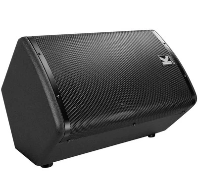 Kustom PA KPX10 Passive Monitor Cabinet