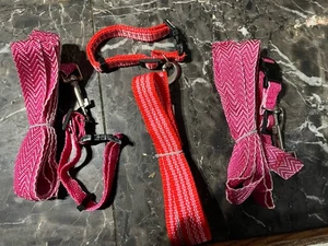 Small Dog Collar/leash Set, Lot Of 3 - Picture 1 of 4