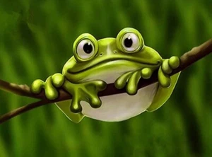 5D Diamond Painting Green Frog on Limb Bead Art DIY Cross Stitch Embroidery - Picture 1 of 2