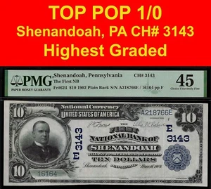1902 $20 National Currency PMG 45 top pop 1/0 finest Shenandoah, PA, CH# 3143 - Picture 1 of 4